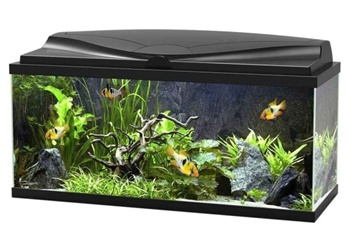 Aquario Ciano Aqua 80 led