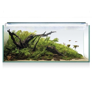 Kit Aquascaping 130L