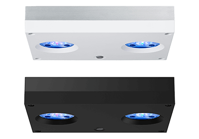 AI Hydra 32HD Branco