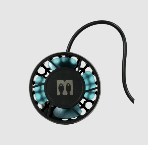 Mantis hydrus 15